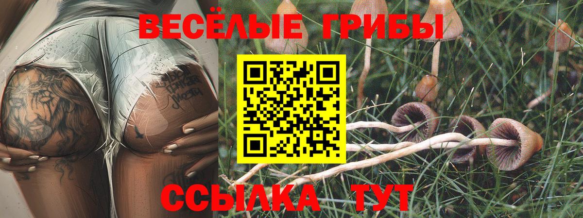 Псилоцибиновые грибы GOLDEN TEACHER Бутурлиновка